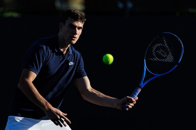 鲜的活力和 鲜的活力和