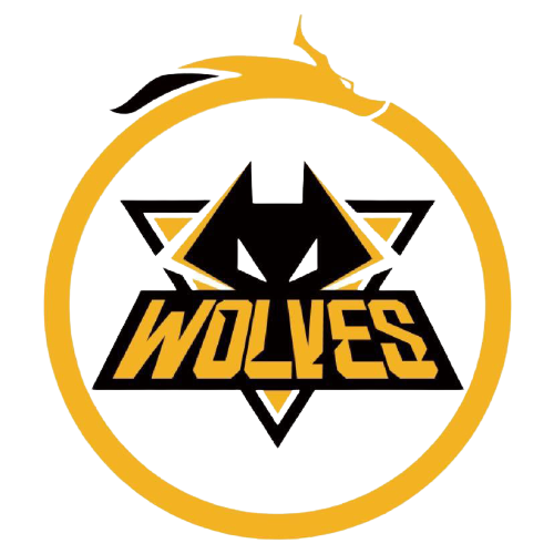 传统阵型 传统阵型