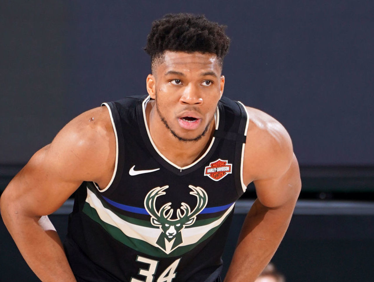 东契奇加盟 东契奇加盟