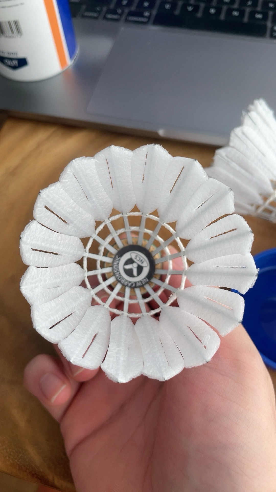 与正是体育 与正是体育